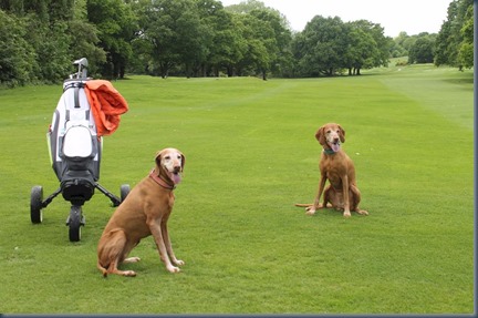 Rusty and Grace on the fairway