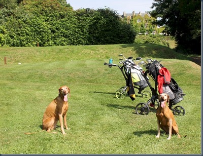 Pennyhill Park - hole 1