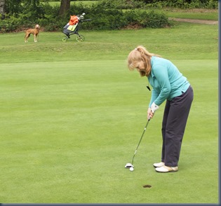 Redhill and Reigate - dog golf review