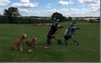 Kirtlington - dog golf