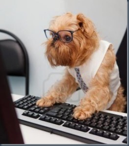 Dog typing