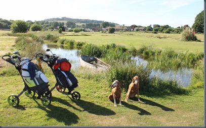 Oak Meadow dog golf 1