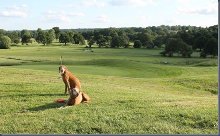 Richmond Park 2