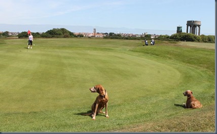 Southwold 3