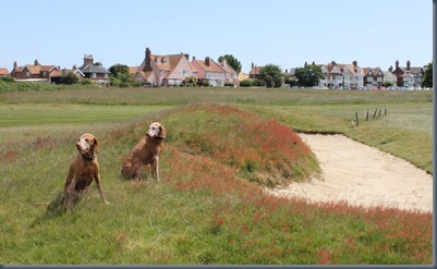 Southwold 4