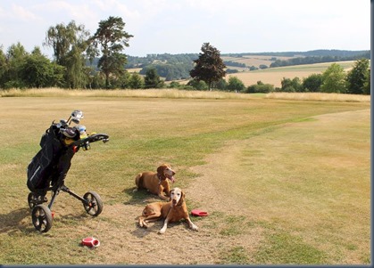 Harewood Downs 1