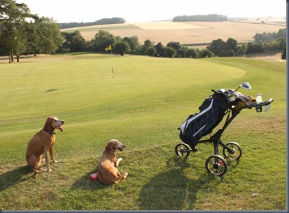 Harewood Downs 2