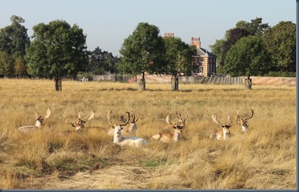 Hampton Court Palace 4