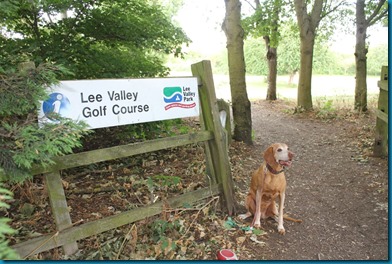 Lee Valley 1