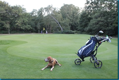 Wimbledon Common 2