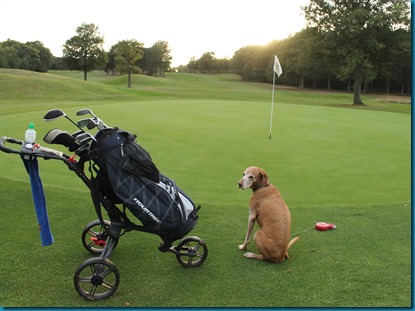 Drift dog golf 2