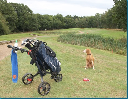 Drift dog golf 3