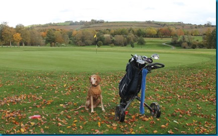 Feldon Valley dog golf 2