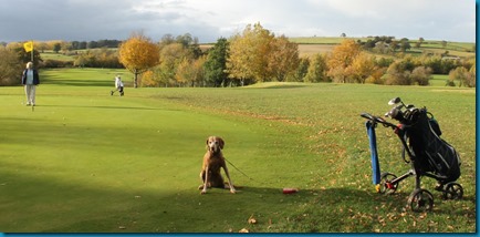 Feldon Valley dog golf 3