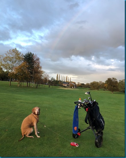 Feldon Valley dog golf 4