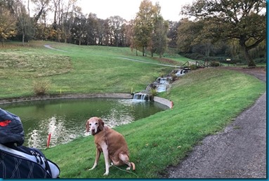 Donnington Valley 1 dog golf