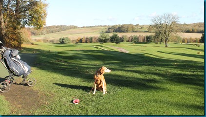 Donnington Valley 2 dog golf