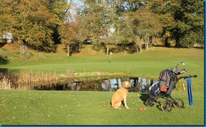 Donnington Valley 3 dog golf