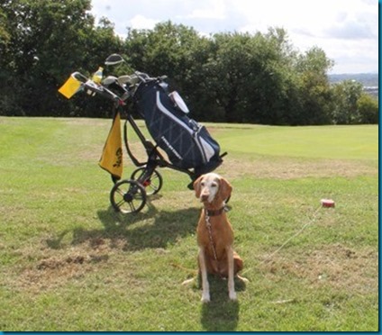 Rusty dog golf hall of fame