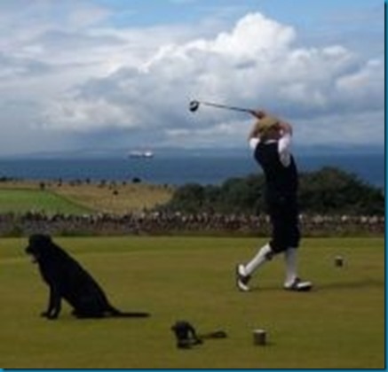 Dog Golf Hall of Fame - Dexter