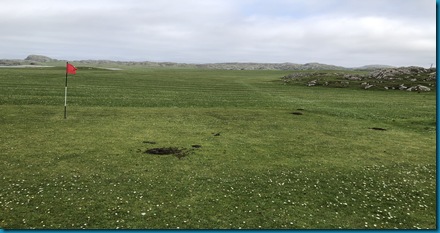 Iona poo