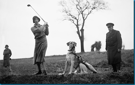 Dog Golf History