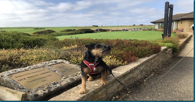 Bridport and West Dorset 5