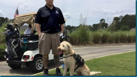 Service dogs